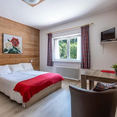 Guest house Hartkaiser And 3*